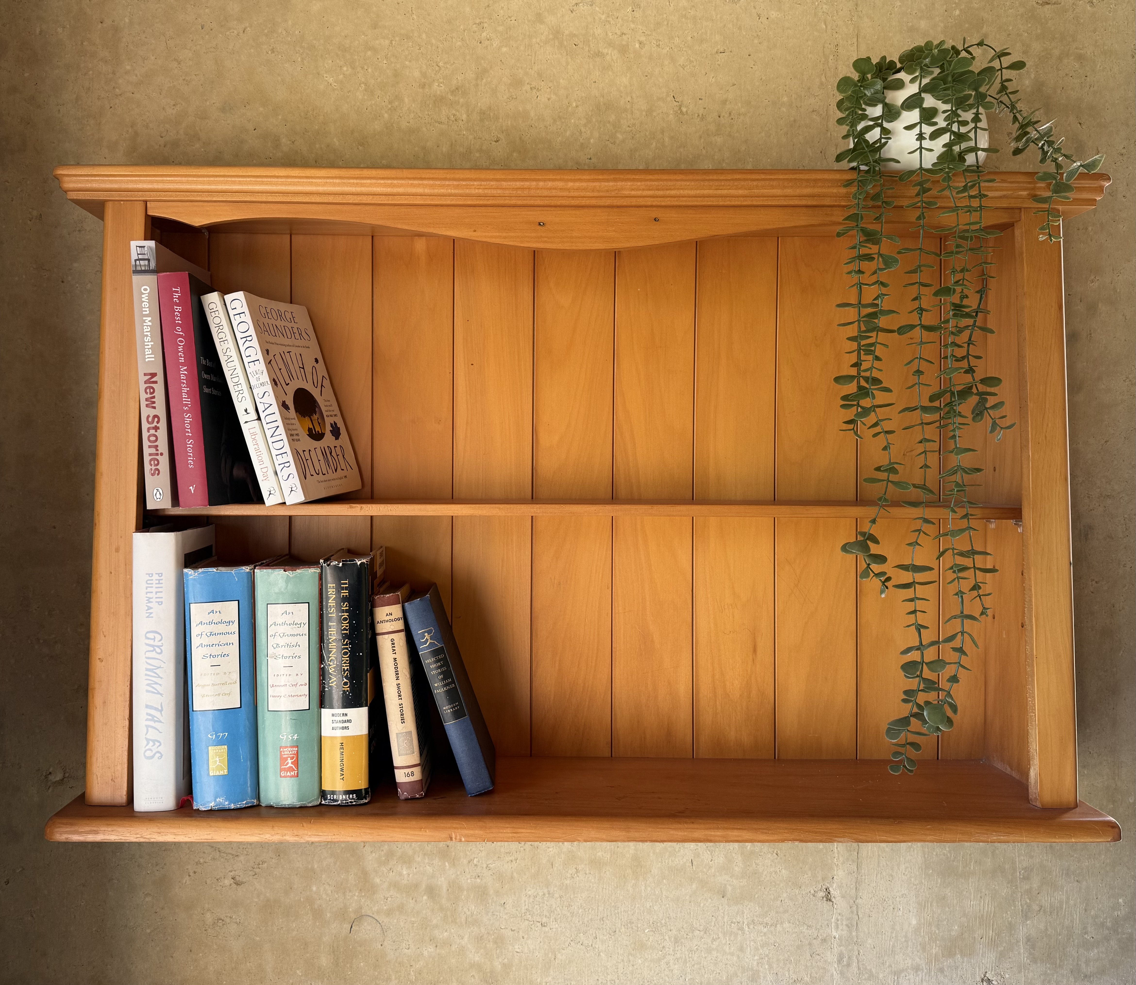 Books on a warm wooden shelf framed by a rammed earth wall