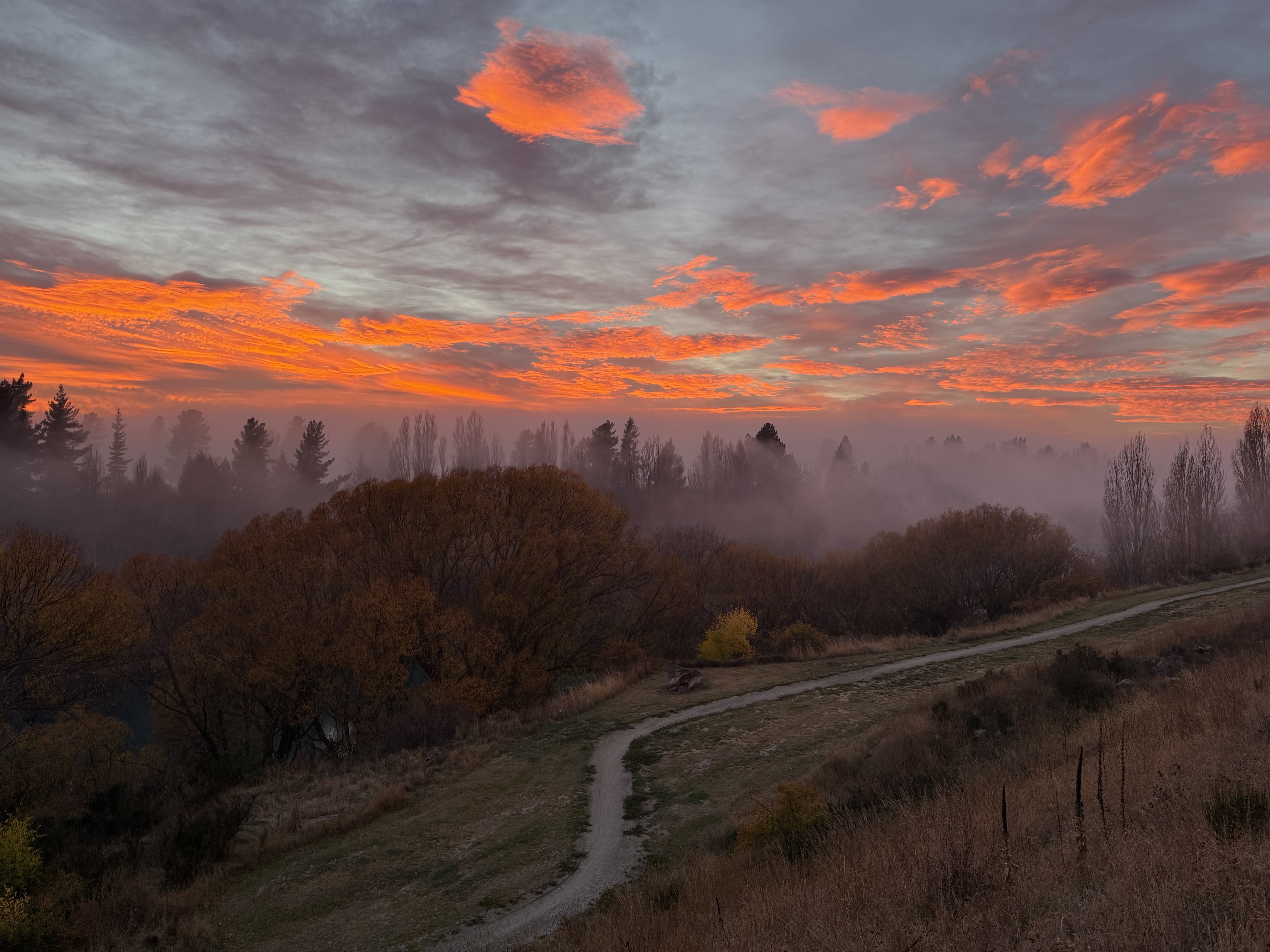 Fiery sunrise over trees, mist, and a winding track